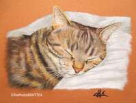 La sieste  (encadr&eacute; 40x50)