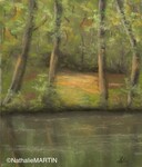 Rayon de soleil dans le sous-bois (encadr&eacute; 40x50)